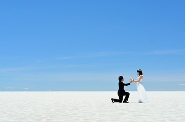 ウユニ塩湖　ウェディング
