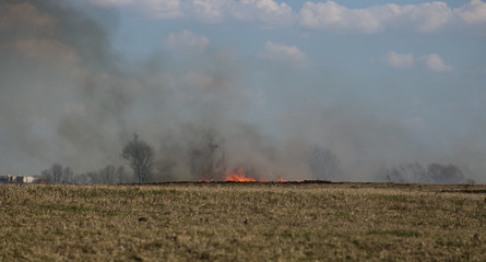 Fototapeta premium incident the burning grass in the field