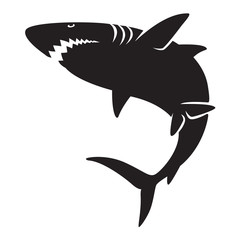 Fototapeta premium graphic shark, vector