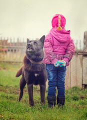 Angry dog stares at the child.