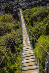 Fototapeta na wymiar Old dangerous suspension bridge on a green park in Madagascar