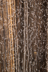 Old wood texture with snow flakes