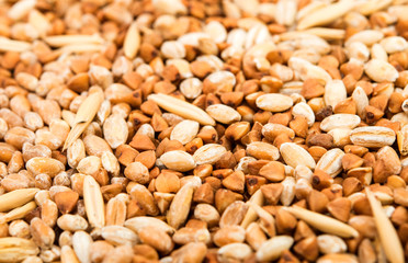 background cereals wheat, oats, buckwheat