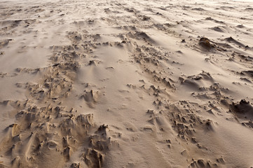 Strand von Amrum