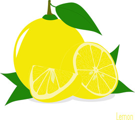 Lemon slices, collection of vector illustrations on a transparent background