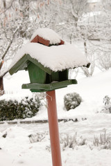 Winter feeding of birds