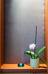 Flower in pot on wooden shelf in home interior