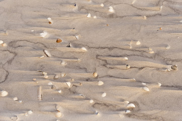 Strand von Amrum