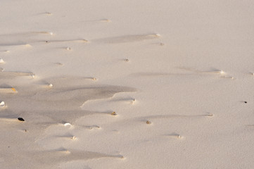 Strand von Amrum