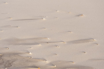 Strand von Amrum