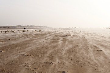 Strand von Amrum