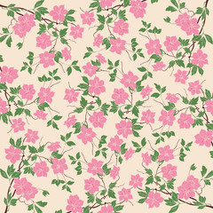 Flower background
