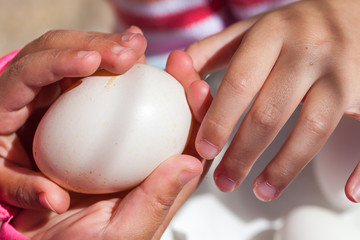 Large Goose Egg