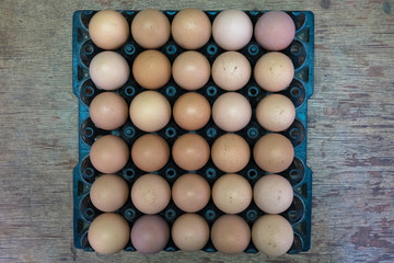 Egg chicken farm,selection focus.