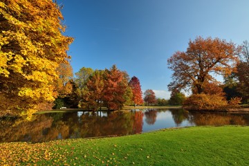 Obraz premium Herbstlich gefärbte Bäume