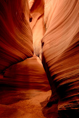 Rattlesnake Canyon Arizona