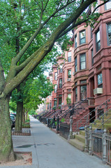 Case a schiera, tipica architettura brownstone a New York, scale, marciapiede, viale alberato, alberi
