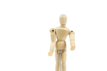 mannequin,wooden model