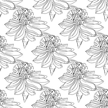 Hand-drawn illustrations of a bee on a flower, pollination, hand-drawing. Seamless pattern.