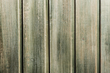 Green wooden wall