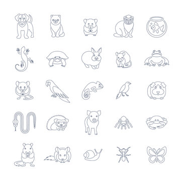Animals pets vector flat thin line icons set. Outline pictograms of various domestic animals. Mammals, rodents, amphibian, insects, birds, reptiles, which people take care of at home