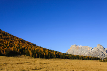 Autumn panorama from Italian Alps
