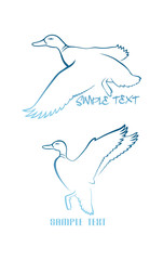logo duck