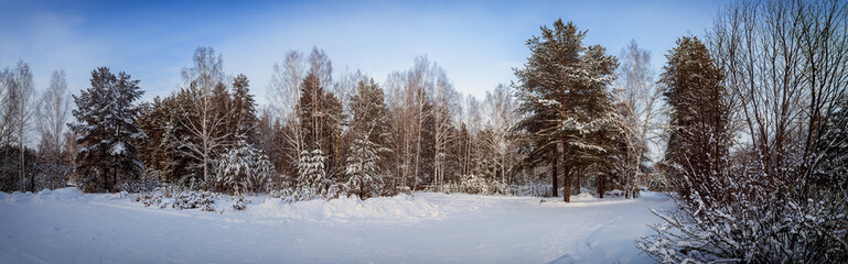 зимняя панорама заснеженного леса, Россия, Урал 