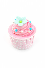 Colorful color cupcake isolated