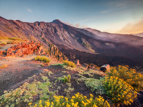 Etna Volcano in Sicily, Italy with colorful flowers on foreground