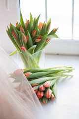 beautiful coral tulip flowers bouquet