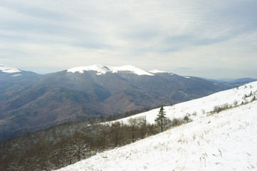 Fototapeta na wymiar Carpathians mountain in winter