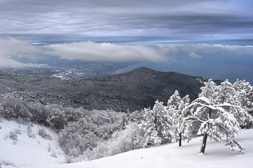 Obraz premium Crimea in the winter