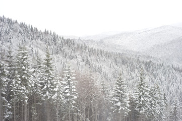 Carpathians Mountains