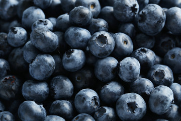 Blueberries background, close up, tasty and sweet