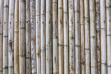 Bamboo texture pattern background