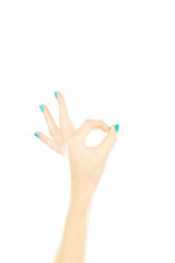 Female hand gestures on a white background