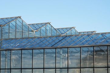 Obraz premium Roof of greenhouse