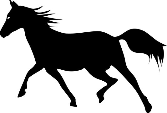 Silhouette of running horse