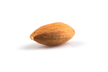 almond on a white background