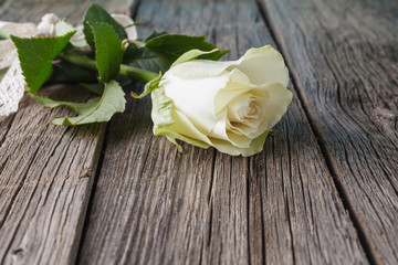 Obraz premium White rose on rustic table