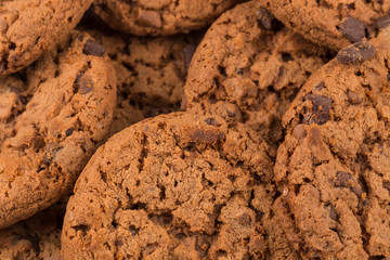 Chocolate chip cookies isolated on white