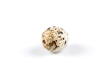 One quail egg