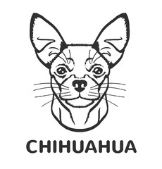 Chihuahua vector black logo icon illustration