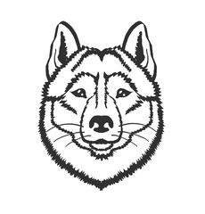 Husky dog vector black icon logo illustration