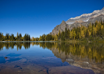 Scenic Reflections of mountains in the lake 