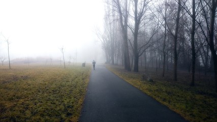 Passeggiata nel parco