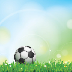 Naklejka premium FOOT FOND PELOUSE
