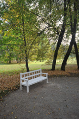 white bench in the autumn garden