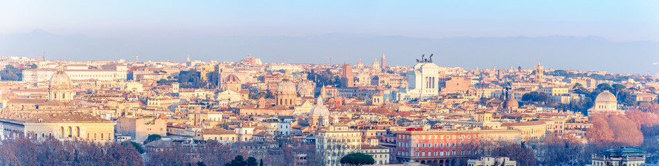 Fototapeta na wymiar Vue des toits de Rome